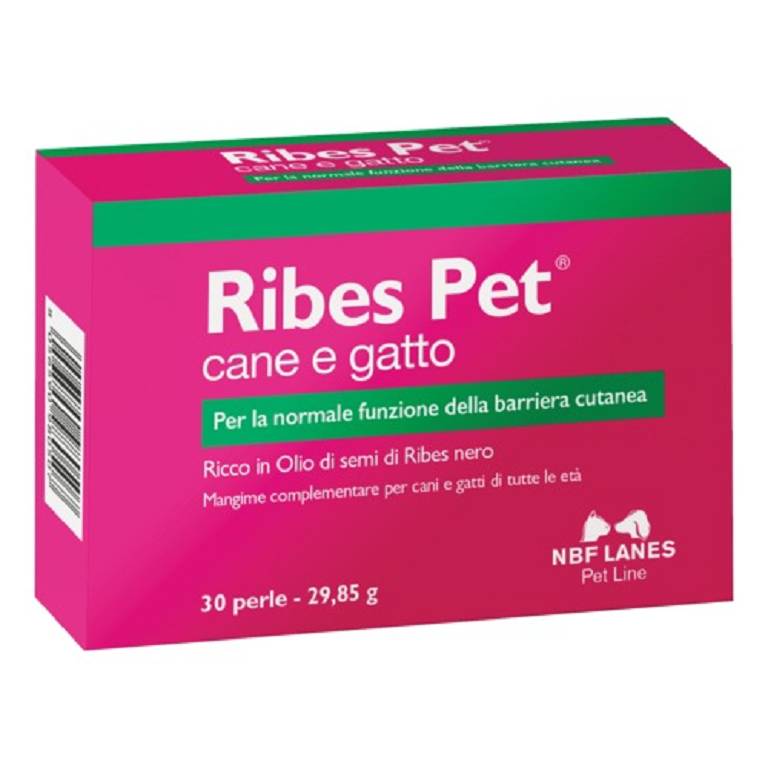 Ribes PET perle