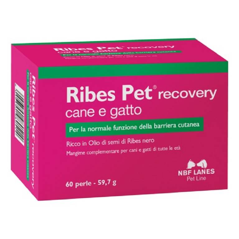 RIBES PET RECOVERY 60PRL